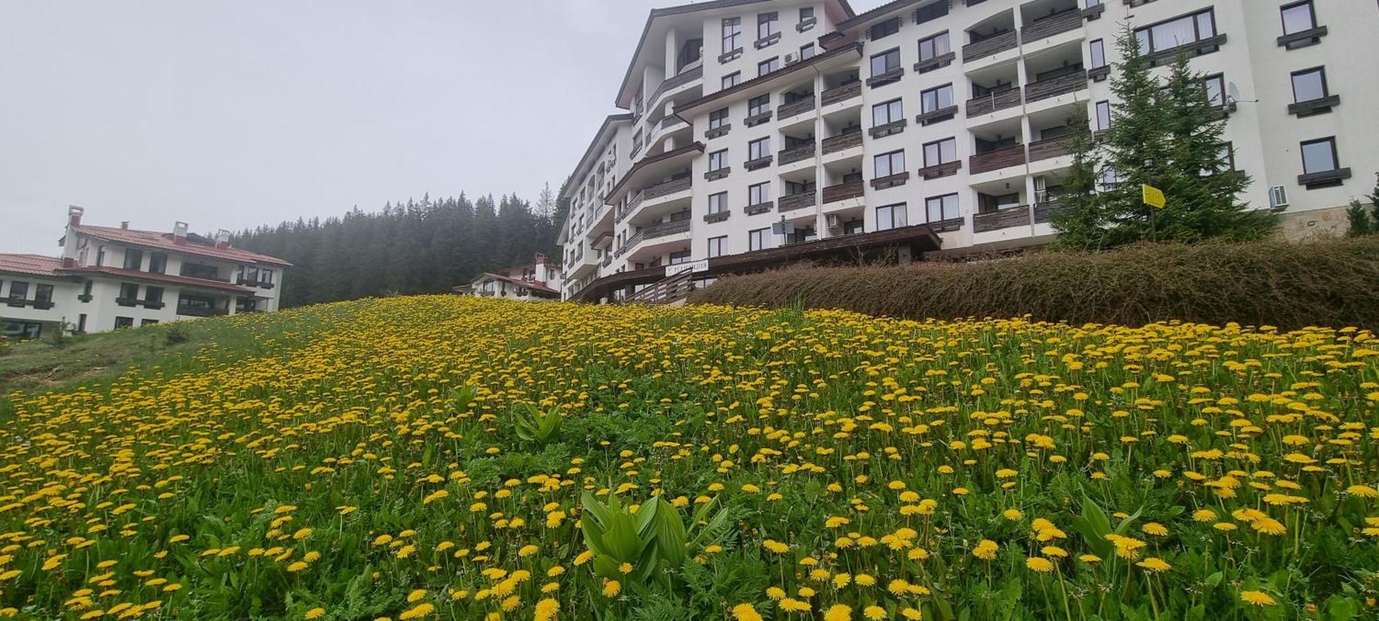 Elit Pamporovo Accommodation Extérieur photo